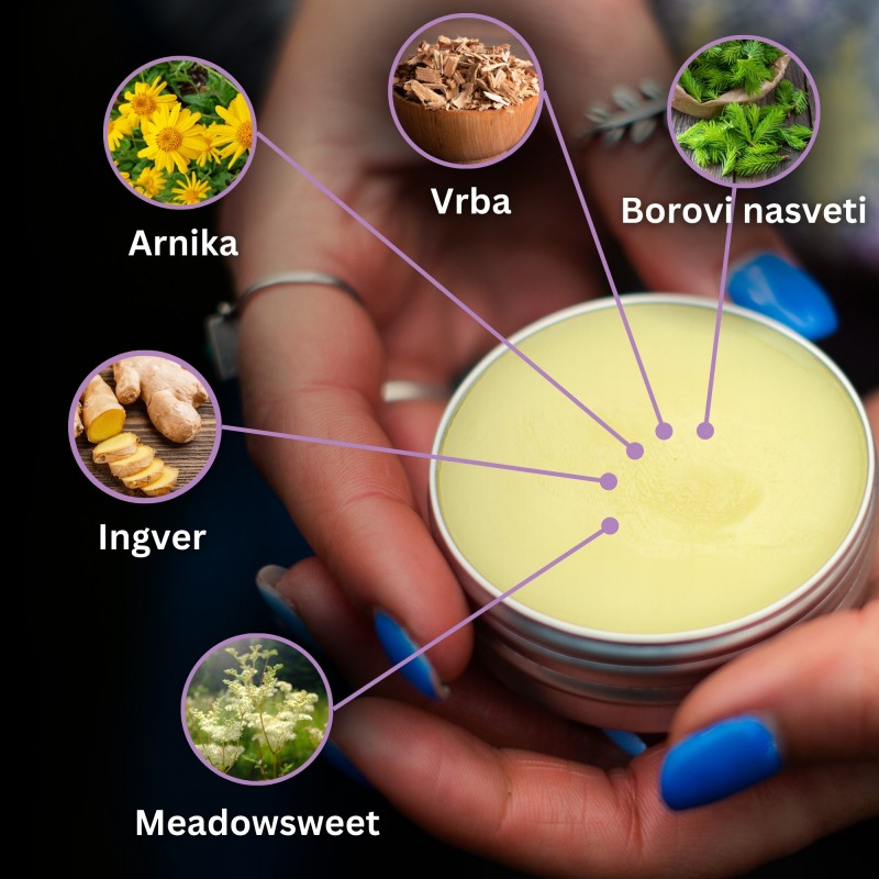 3x Mazilo za Modrice in Mišice z Arnike in Ingverjem - 40ml