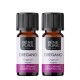 2x Bio Origano Eterično olje - 10ml