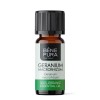 Bio Geranija Eterično olje - 10ml
